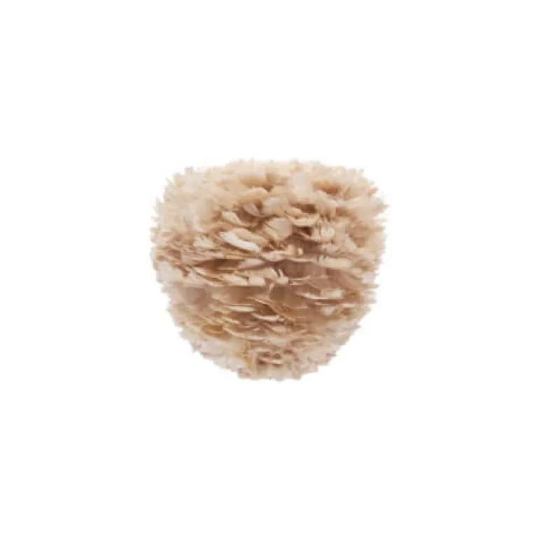 Eos Evia mini skærm, lysebrun