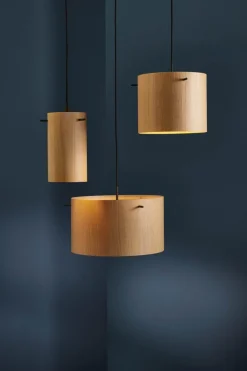 FM1954 pendel Ø16, eg