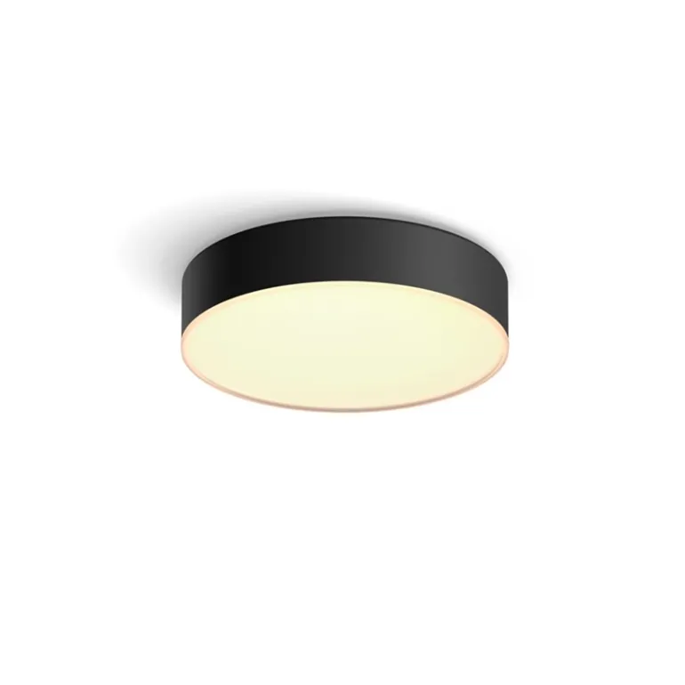 Philips Hue Enrave White Ambiance loftlampe small, sort