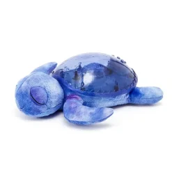 Tranquil Turtle, ocean