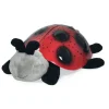 Twilight Ladybug, Red