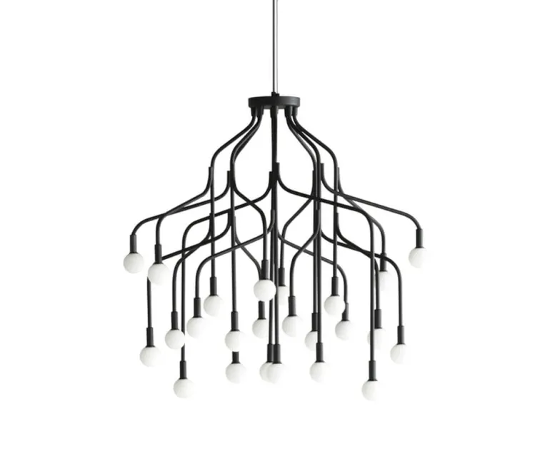 Vekst large lysekrone, sort